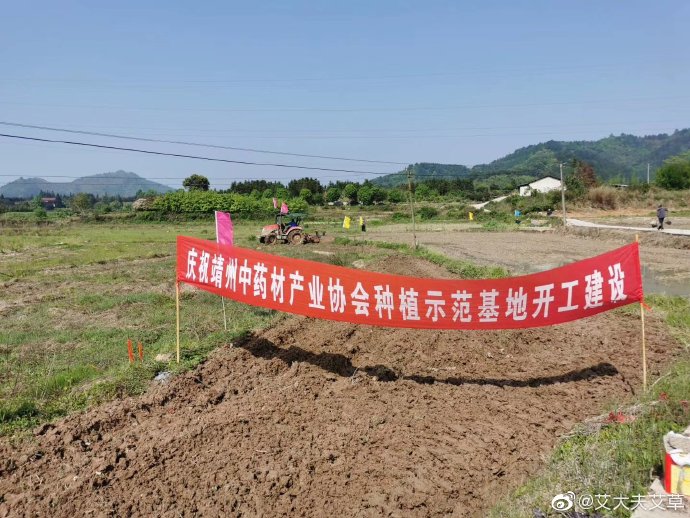 湖南漢眾農(nóng)業(yè)發(fā)展有限公司,懷化天然七角艾草植物種植,懷化艾制品制造銷售